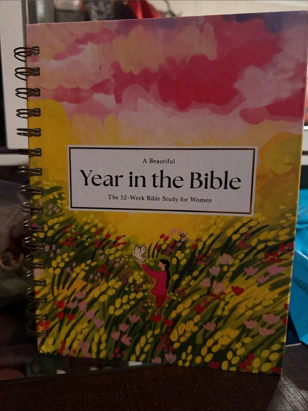 Alabaster Co. Year in the Bible. 52-Week Bible Study Planner Pink